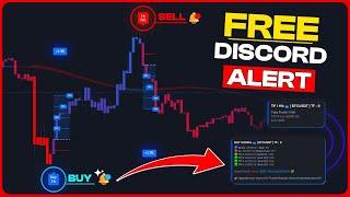 FREE Discord Alerts & Day Trading Strategy for Crypto, Forex, & Stocks – 87% Win Rate