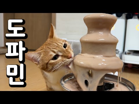 얘들아 오늘 먹고 죽자