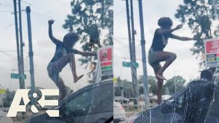 Road Wars: Wildest Florida Moments Caught on Camera | A&E