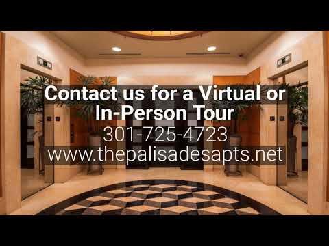 2 Beds, 2 Baths Penthouse- 1410