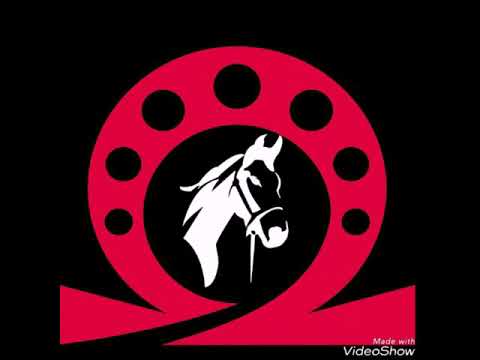 #67 Alon Zoa: Pega do Boi Bandido.