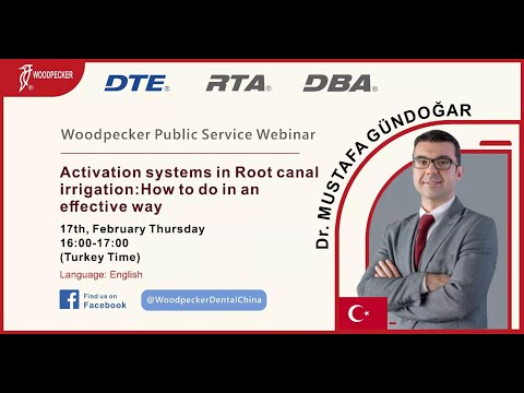 𝐖𝐨𝐨𝐝𝐩𝐞𝐜𝐤𝐞𝐫 𝐎𝐧𝐥𝐢𝐧𝐞 𝐂𝐨𝐮𝐫𝐬𝐞𝐬 𝐍𝐨. 178