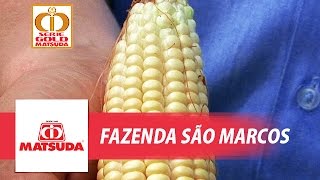 preview picture of video 'ILP com semente Série Gold Matsuda (Faz. São Marcos)'
