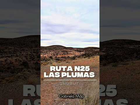 Ruta N25 Las Plumas 🧡Chubut 🇦🇷 18 de diciembre 2025 4K😎
