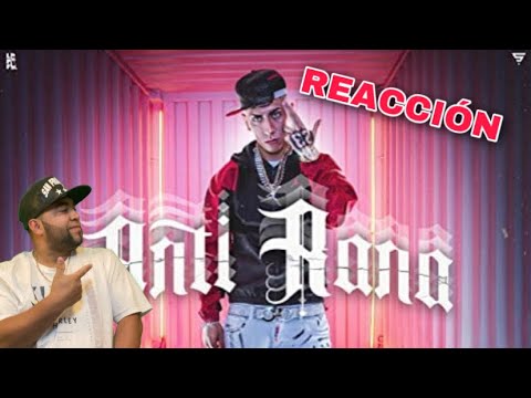 (REACCION) Anti Rana- El JORDAN 23