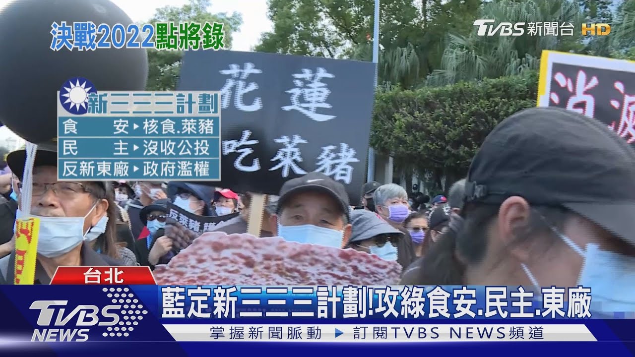 藍定新三三三計劃！　攻綠食安、民主、東廠