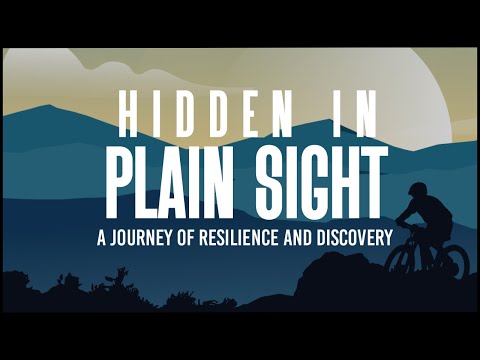 Hidden In Plain Sight Film