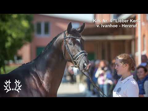 Kat. Nr. 4 - "Lieber Kerl" v. Ivanhoe - Herzruf *2019