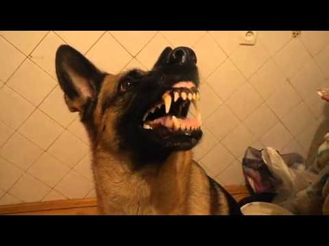 Перемена настроения :) Перемена настроения :)