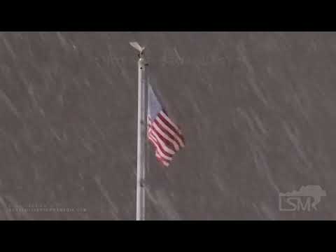 01-10-2021 Jackson, MS - Deep South Snow, Large Snowflakes, Snowy Scenes