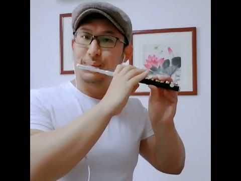 YPC-32 student model Piccolo Flute