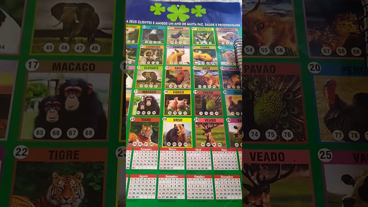 como sonhar com uma milhar do jogo do bicho, ganhar na milhar