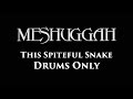 Meshuggah This Spiteful Snake DRUMS ONLY