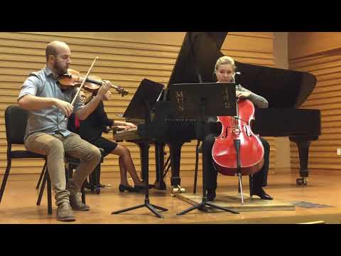 Promotional video thumbnail 3 for Mideum Chung - Pianist