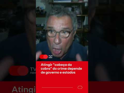 Atingir "cabeça da cobra" do crime depende de governo e estados