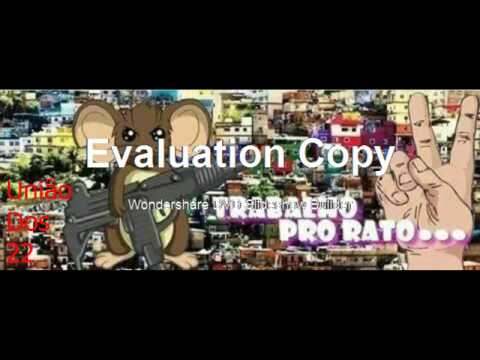 Mc patrãozinho da BXD   Os menor da nova holanda