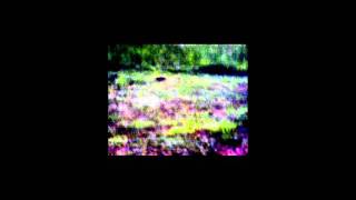 They Are Yours And They Have Consequences, Buckeroo