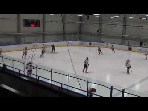 RAUBICI 2004 – HC Panter 2004  4:2 (2:1 ; 1:0 ; 1:1)  23.12.2018