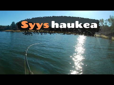 Syyshaukea [ Hauen kalastusta syksyllä merellä ]