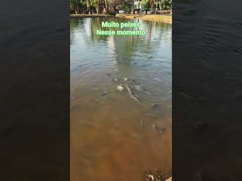 no parque Ipiranga em anapolis Goiás #brasil