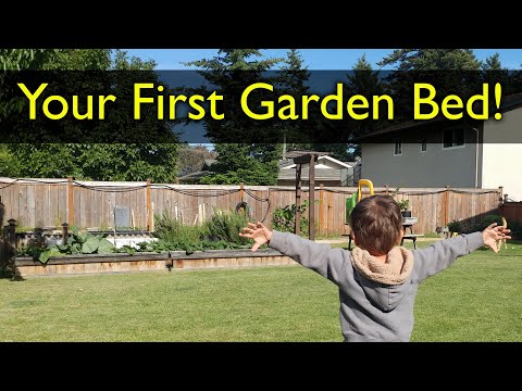 How To Reuse Old Potting Soil FOUR ways