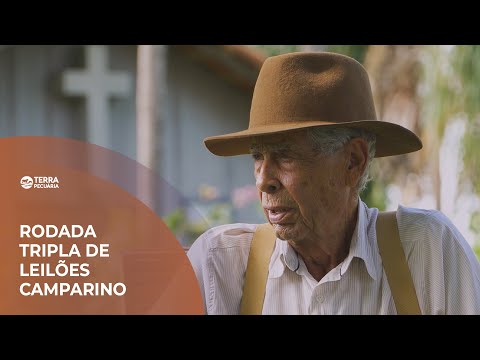 TERRA PECUÁRIA - LEILÃO GENÉTICA CAMPARINO E LEILÃO MATRIZES CAMPARINO