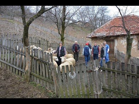 Razgovori pokraj puta-  Kraljevici iz Carine - Obicaji Radjevine - Dobrivoje i Dobrila Pantelic