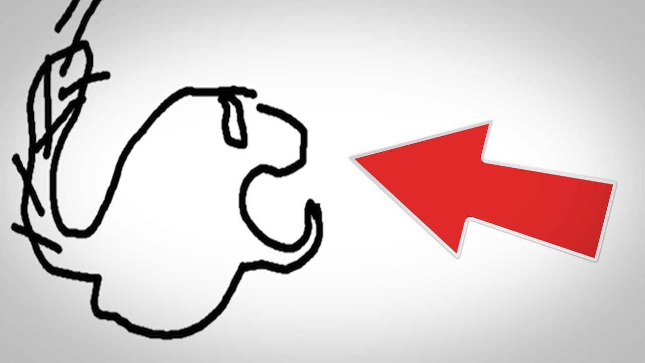 CECI EST UN ÉCUREUIL thumbnail