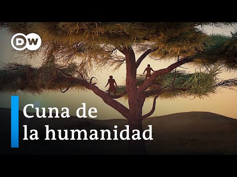 How did humankind originate? | DW Documentary