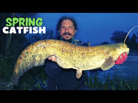 Spinning for the catfish in the spring ...