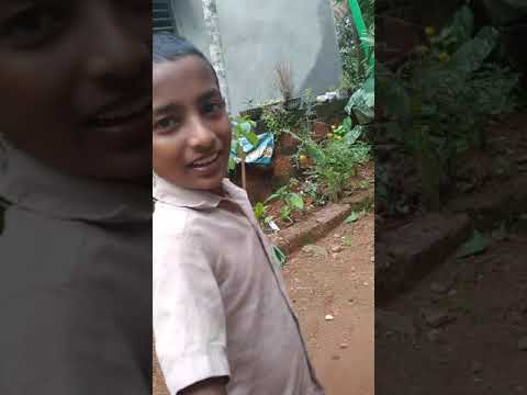 MY. FLOWER GARDEN. Uvais