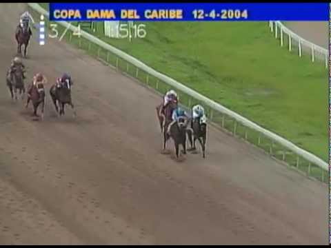 Copa Dama del Caribe 2004 - Coordinadora (PUR)