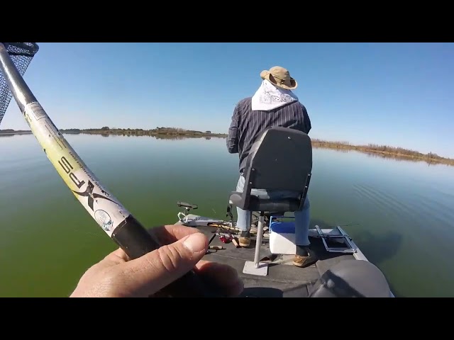 Judge.me YouTube video placeholder