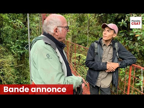 Francis Hallé, le passeur d'arbres