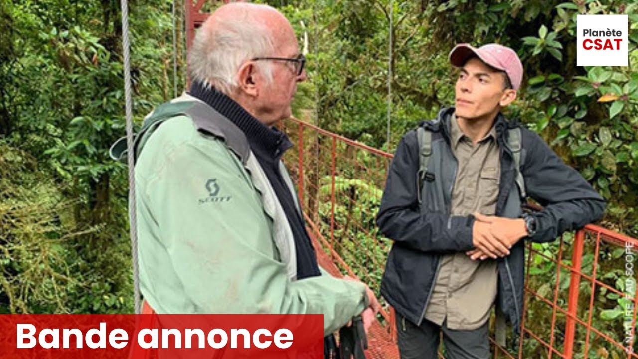 Miniature de la vidéo Francis Hallé, le passeur d'arbres | bande annonce | Ushuaïa TV du film Francis Hallé, le passeur d’arbres