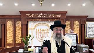 ערבות להושענא רבה (הרב יצחק ישראלי) - התמונה מוצגת ישירות מתוך אתר האינטרנט יוטיוב. זכויות היוצרים בתמונה שייכות ליוצרה. קישור קרדיט למקור התוכן נמצא בתוך דף הסרטון