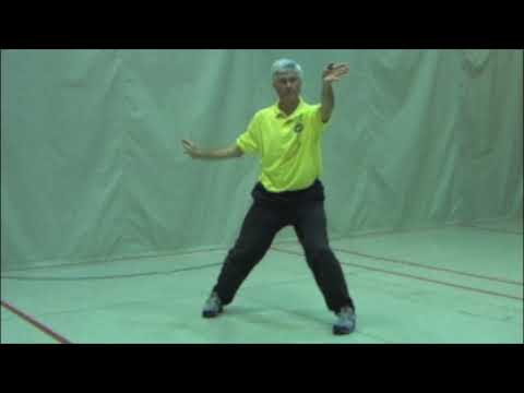 99 Form - Chen Pan Ling Taijiquan