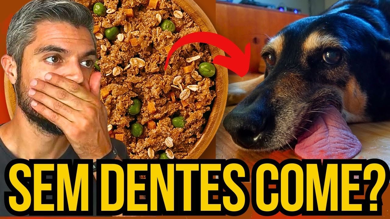 [DICA] COM ALIMENTAR CACHORRO SEM DENTES - CACHORRO ENGOLE RAÇÃO E NÃO MASTIGA - BANGUELA MAU HALITO
