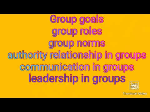 group its characteristics business organisation management dynamics of group behaviour