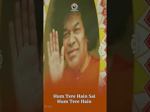 Hum Tere Hain Sai | Soothing Devotional Song