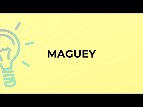 What is the meaning of the word MAGUEY?
