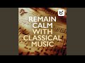 Adagio And Menuetto
