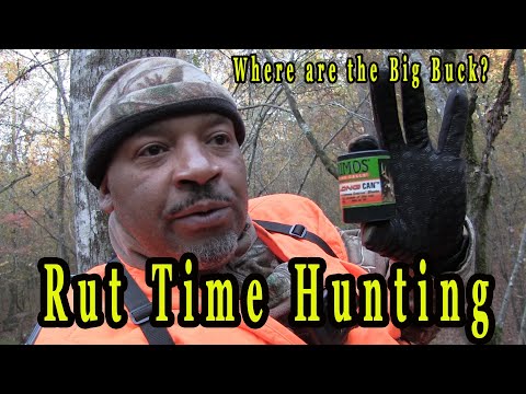When Is Rut In Georgia