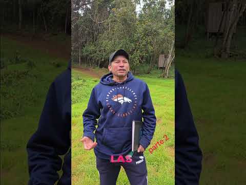 las cabañas sierra de las minas san Agustín acasaguastlan el progreso Guatemala #cabañas #chanrayo