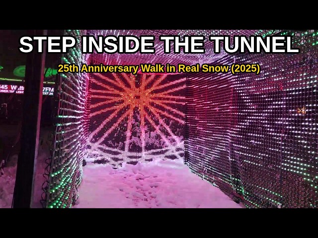 Lights in the Snow — Hormann Christmas light display video