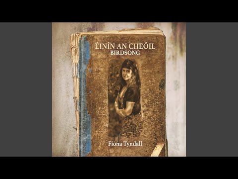 A Spailpín a Rúin (feat. Brendan Hayes)