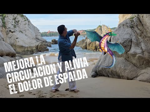 Como Aliviar DOLORES de ESPALDA y Mejora la CIRCULACION: Qi Gong "Dragon de Agua"