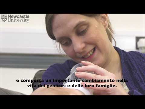 E-TIPS - Pisa, Italia