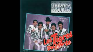 Ni parientes somos los tigres del norte