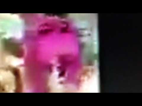 Barney & Friends PBS